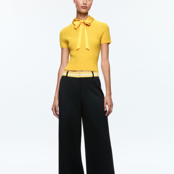 Alice and Olivia Abbott with collar - Picture 15 of 15